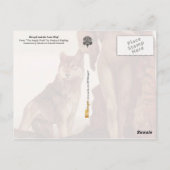 Het Oerwoud Boek: Mowgli en de Lone Wolf Briefkaart (Achterkant)