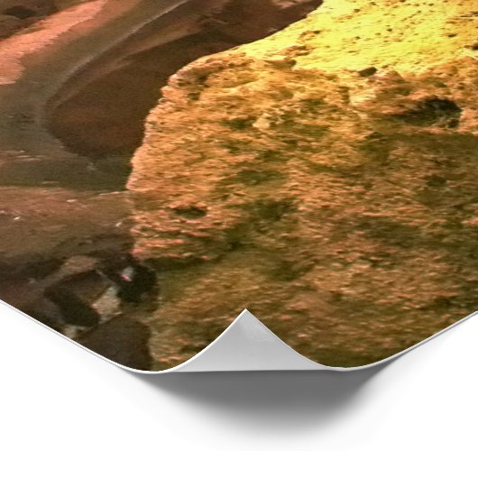 Het Oerwoud Poster (Hoek)