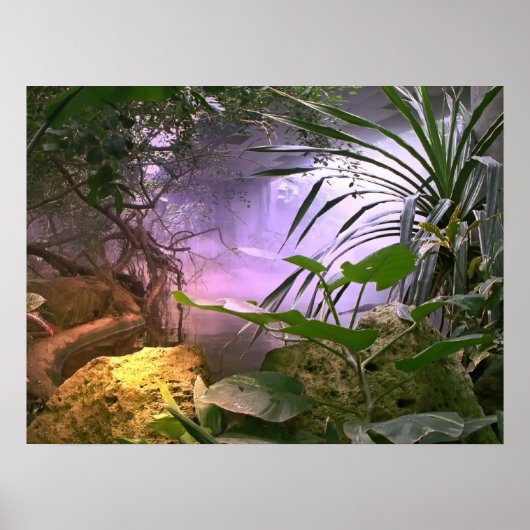 Het Oerwoud Poster (Voorkant)