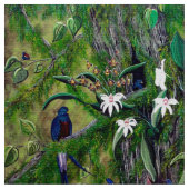 Het Oerwoud van de stof Guatemala (Close Up)