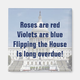 Het omdraaien van de Tweede Kamer Magneet