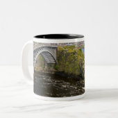 Het omkeren van herfsten aan de St. John River in Tweekleurige Koffiemok (Voorkant links)