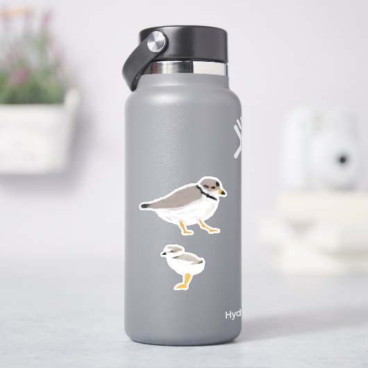 Het Omvergooien van de pijp met zijn Kop Sticker (HydroFlask)