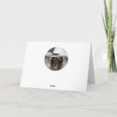 Het onbekende wenskaart van Keeshond Komic Kaart (Achterkant)