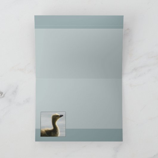 Het onder ogen zien van het Licht Kaart (Binnen)