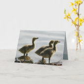 Het onder ogen zien van het Licht Kaart (Gele Bloem)