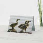 Het onder ogen zien van het Licht Kaart (Voorkant)