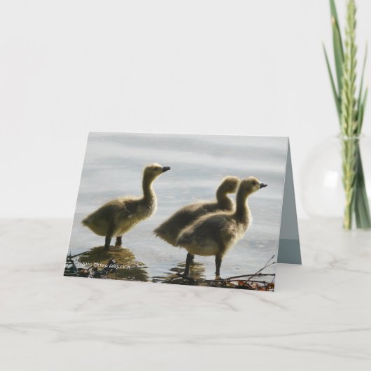 Het onder ogen zien van het Licht Kaart (Voorkant)