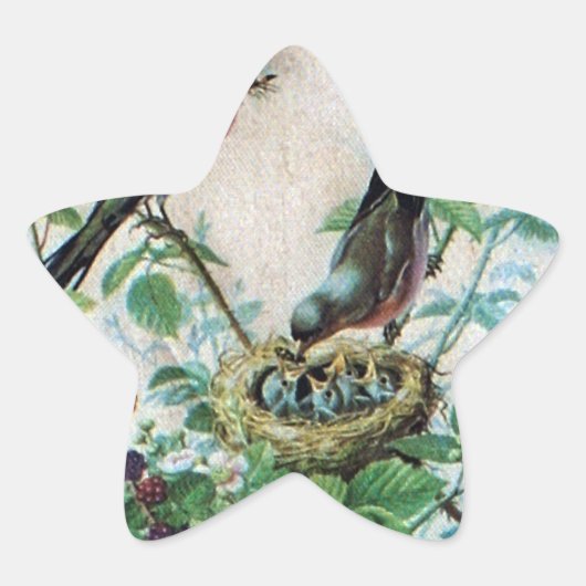 Het ondersteunen van de kudde: het vastleggen van  ster sticker (Voorkant)