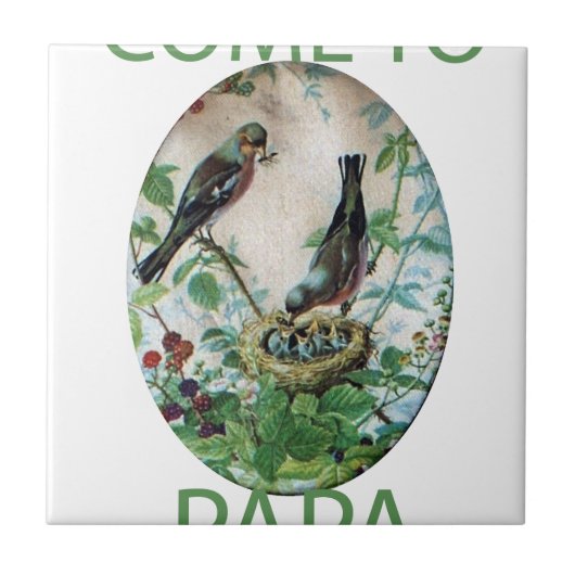 Het ondersteunen van de kudde: het vastleggen van  tegeltje (Voorkant)