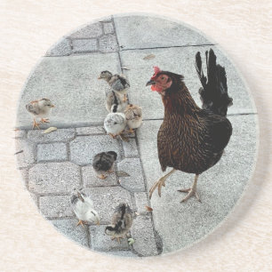 Het Onderzetter Chick