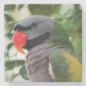 Het Onderzetter van de Steen van de Parkiet van (Voorkant)