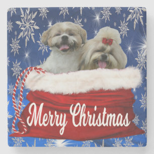Het Onderzetter van Kerstmis van tzu van Shih,