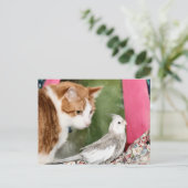 Het oneven paar briefkaart (Staand voorkant)