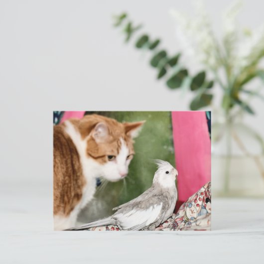 Het oneven paar briefkaart (Staand voorkant)