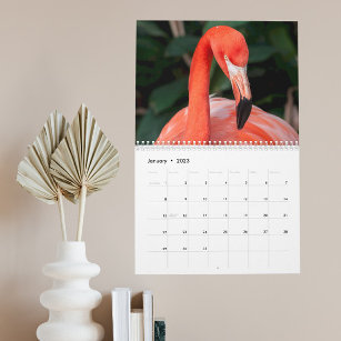 Het ongelooflijke Kalender van Flamingo kiest Jaar