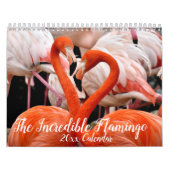 Het ongelooflijke Kalender van Flamingo kiest Jaar (Hoes)
