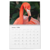 Het ongelooflijke Kalender van Flamingo kiest Jaar (Jan 2026)
