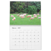 Het ongelooflijke Kalender van Flamingo kiest Jaar (Feb 2027)