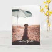 Het ontbreken van een gouden wederverkoper op stra kaart (Gele Bloem)