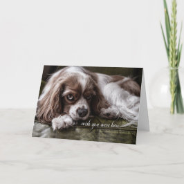 Het ontbreken van je Cocker Spaniel Dog Sad-look Kaart