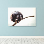 Het ontbreken van je enige Stedelijke Chimpansee-a Canvas Afdruk (Insitu (Houten vloer))