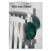 Het ontbreken van Mijn Vriend Pet en Schaduw van d (Voorkant)