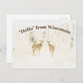 Het Onthaal van de waterverf aan de Witte De steel Briefkaart (Voorkant / Achterkant)