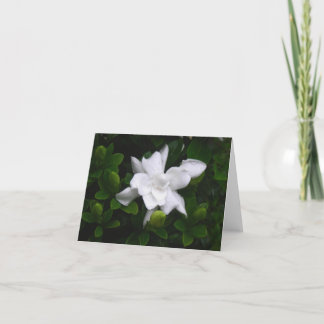Het ontluiken Gardenia BloemenNotecard Kaart