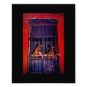 Het ontsnappingsplan foto afdruk (Voorkant)