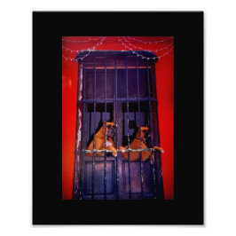 Het ontsnappingsplan foto afdruk