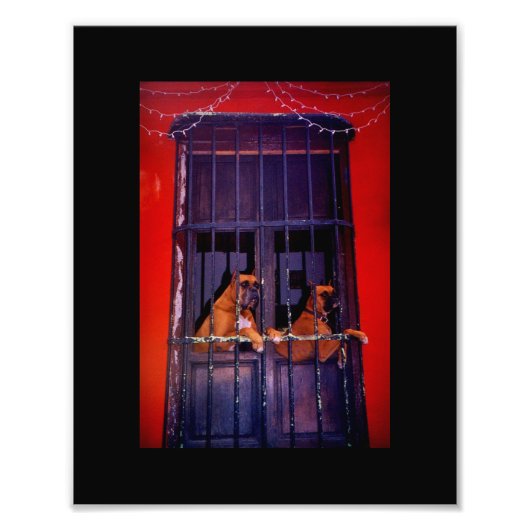 Het ontsnappingsplan foto afdruk (Voorkant)