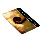 Het ontvouwen van Fern, Nieuw-Zeeland, Wilde natuu Magneet (Rechterzijde)