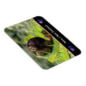 Het ontvouwen van Fern, Nieuw-Zeeland, Wilderness Magneet (Rechterzijde)