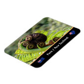 Het ontvouwen van Fern, Nieuw-Zeeland, Wilderness Magneet (Linkerzijde)