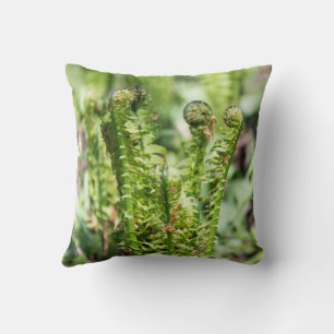 Het ontwaken van jonge fern in de tuin kussen