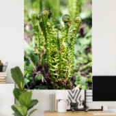 Het ontwaken van jonge fern in de tuin poster (Thuiskantoor)