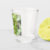 Het ontwaken van jonge fern in de tuin shot glas (Rechts)