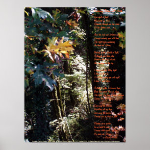 Het ontwakken van goddelijke Zelfheid Poster