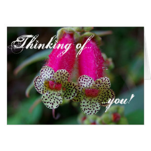 Het Ontwerp van de Bloem van de luipaard