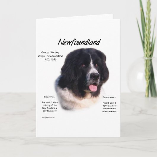 Het Ontwerp van de Geschiedenis van Newfoundland Kaart (Voorkant)