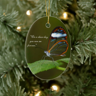 Het Ontwerp van de Vlinder van Glasswing "op van Keramisch Ornament