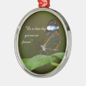 Het Ontwerp van de Vlinder van Glasswing "op van Metalen Ornament (Links)