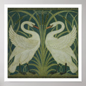 Het ontwerp van het behang 'Swan, Rush and Iris' Poster (Voorkant)