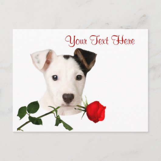 Het Ontwerp van Russell Terrier Red Rose Valentine Feestdagenkaart (Voorkant)