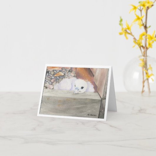 Het ontwerpNota of Wenskaarten van Orion van Kaart (Gele Bloem)