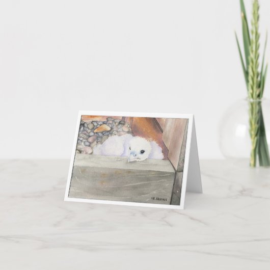 Het ontwerpNota of Wenskaarten van Orion van Kaart (Voorkant)