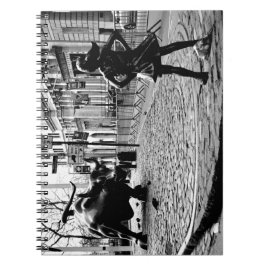 Het onverdiende meisje notitieboek