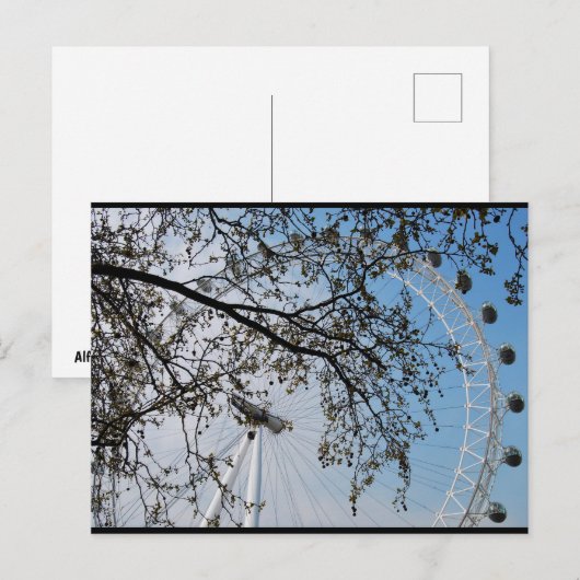 Het oog door herfstbladeren briefkaart (Voorkant / Achterkant)
