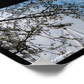 Het oog door herfstbladeren poster (Hoek)